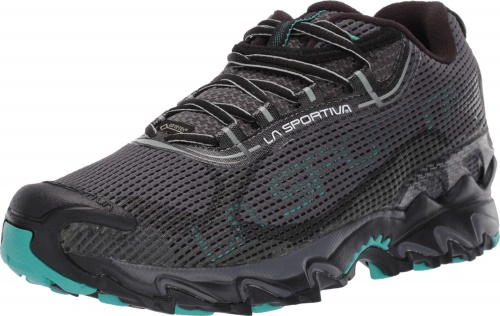Dámské Běžecké Boty Wildcat 20 Gtx La Sportovní Boty Carbon Aqua