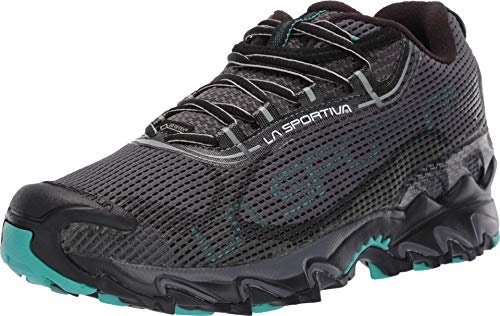 Dámské Běžecké Boty Wildcat 20 Gtx La Sportovní Boty Carbon Aqua